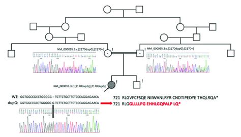 A Novel Homozygous Frameshift Variant That Disrupts The Sequence Of 35