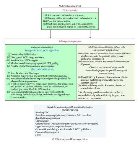 Residents Performing Emergent Perimortem Cesarean Section Download