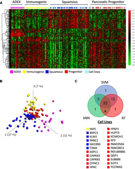 Classification Of Pdac Cell Lines Into Subtypes Based On Gene