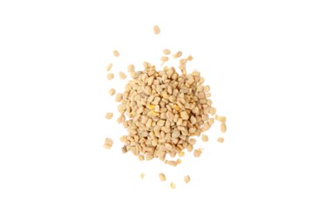 Fenugreek Isolated Taste Seeds Healthy Closeup Tasty PNG Transparent