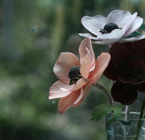 Gumpaste Anemone Flower Decorated Cake By Christina Cakesdecor