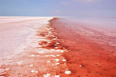 Red Lake Turkey Algae Tuz Gola: See a Lake That Naturally Turned Red | Time