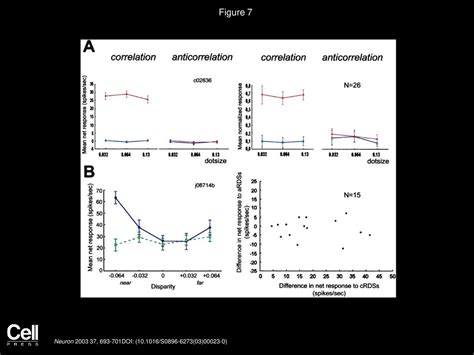 Peter Janssen Rufin Vogels Yan Liu Guy A Orban Neuron Ppt Download