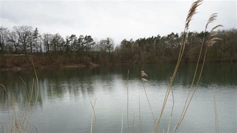 Richtungsentscheidung F R Bad Laerer Noz