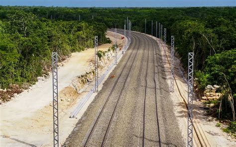 Deforestaci N Masiva En Selva Mexicana Por Tren Maya Columna Digital