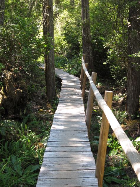 Ozette Loop Boardwalks Nitya Jesse Eisenheim Flickr