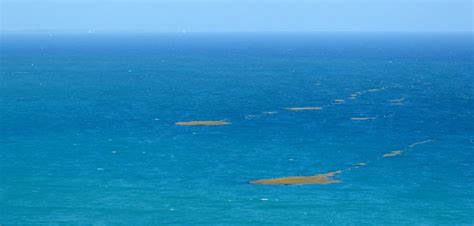 Les Premiers Radeaux D Algues Sargasses Aperçus Au Large Du Diamant Ce Lundi