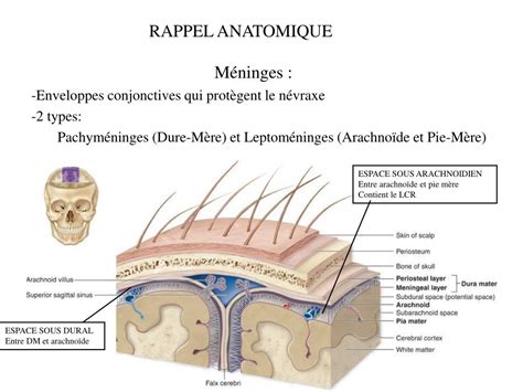 Ppt Semiologie Dcem 1 Syndrome Méningé Hypertension Intracrânienne