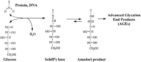 The Maillard Reaction Download Scientific Diagram