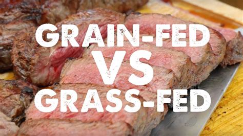 Is Grass Fed Tastier Than Grain Fed Comparing The Taste In A Steak Cook Off Youtube