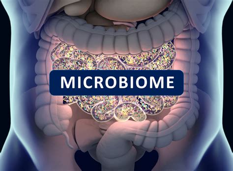 Gut Microbiome