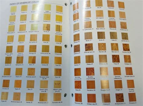 Wood Veneer Sample Species Color Picture Photo Guide 80 Pages Etsy