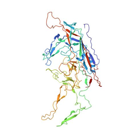 Rcsb Pdb 7wqp Adeno Associated Virus Serotype Phpeb In Complex With