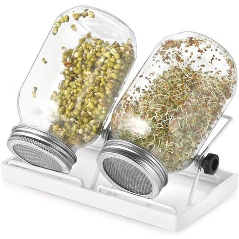 Ecooe Sprossen Keimglas Er Set Keimgl Ser F R Sprossen Glas Sprouting