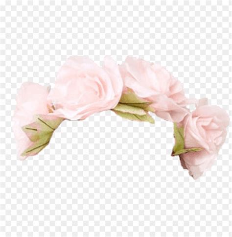 Purple Flower Crown Transparent PNG Transparent With Clear Background