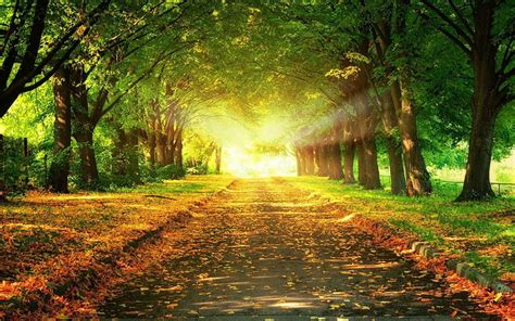 HD wallpaper: light at the end of the road-Scenery HD wallpaper, brown ...