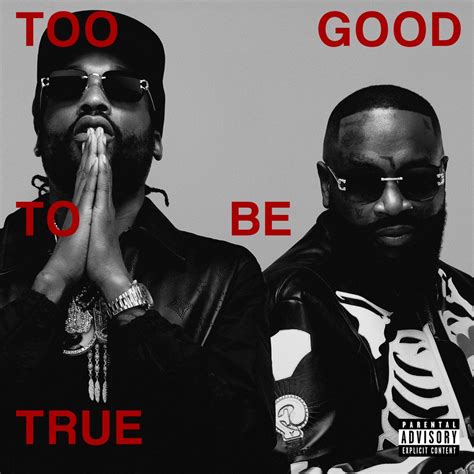 Hikes Review Of Rick Ross And Meek Mill Too Good To Be True Album Of