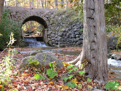 Silver Creek - Ontario’s Conservation Areas