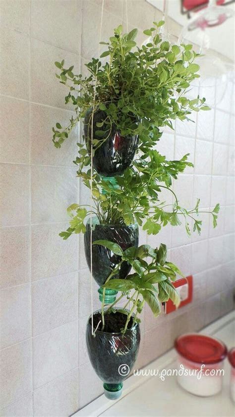 Easy And Fun Diy Plastic Bottle Planters