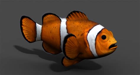 clownfish fish 3d obj