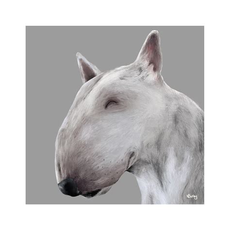 English Bull Terrier Etsy