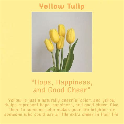 yellow tulip meaning | Tulips meaning, Tulips quotes, Yellow tulips