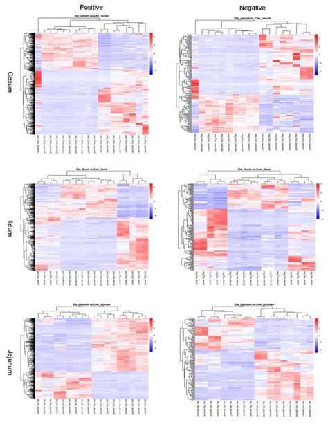 The Difference In Cluster Heat Maps Of Jejunum Ileum And Cecum Tissue Download Scientific