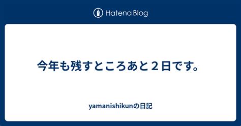 今年も残すところあと2日です。 Yamanishikunの日記