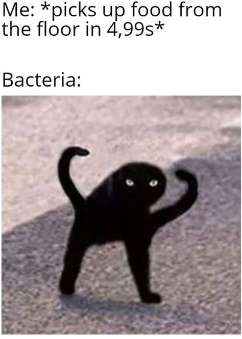 The best Bacteria memes :) Memedroid