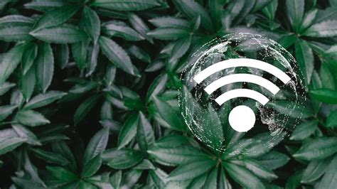 Una Planta Verde Con Un ícono Wifi En El Medio Foto Premium