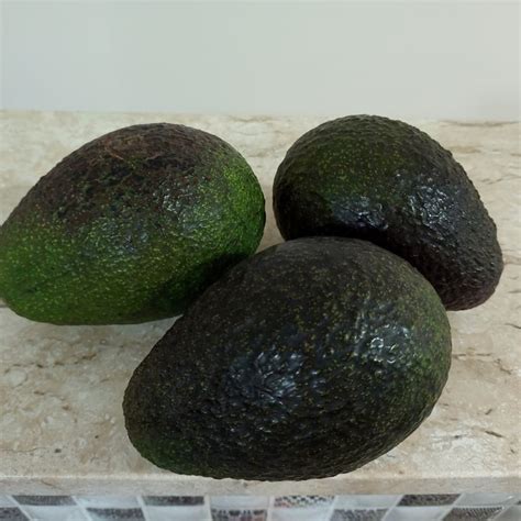 Sacol O Da Sa De Granja Viana Abacate Tipo Avocado Reviews Abillion