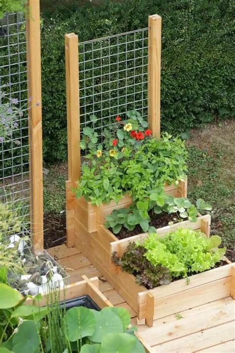 Easy Diy Gardening Ideas With Vegetables That Surprised You