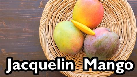 Truly Tropical Mango Varieties Jacquelin Youtube