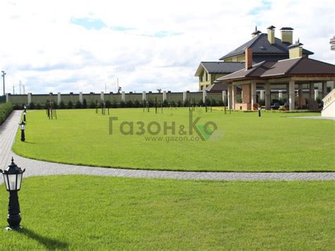 Главная » Газон купить, рулонний газон з Києва, газон купить Киев