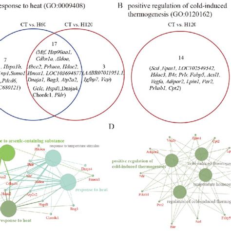 Genes Of Liver Involved In The Heat Stress Process And Their Functional