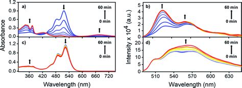 Time Dependent Laser Irradiated Uv Vis Absorption Spectra Of No Pdi In