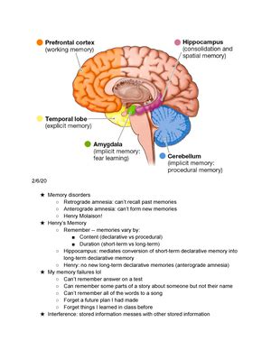 Psych 101 Exam 3 Study Guide Study Guide For Exam 3 Dont Forget