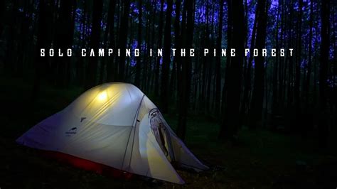 SOLO CAMPING IN THE PINE FOREST SOLO CAMPING DI HUTAN PINUS