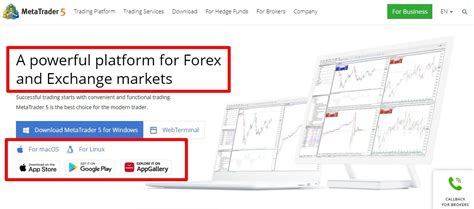 Metatrader 4 Vs Metatrader 5 Which One Is Right For You