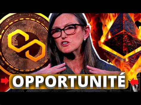 L OPPORTUNITÉ N7 KRACH CRYPTO DANS LE BEAR MARKET MATIC YouTube