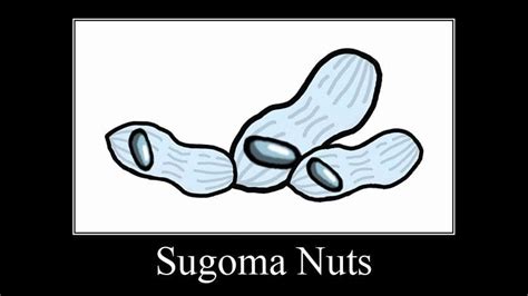 Sugoma Nuts 😳 Amogus Meme Youtube