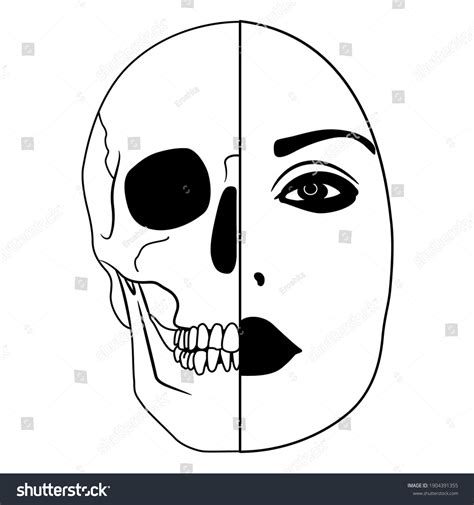 Beautiful Female Face Half Skull Dead Stock Vector Royalty Free