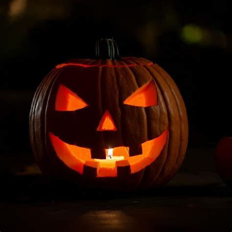 Spooky And Spectacular Pumpkin Carving Ideas To Try This Halloween