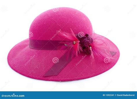 Vintage Pink Feathered Hat Stock Image Image Of Style 1592241