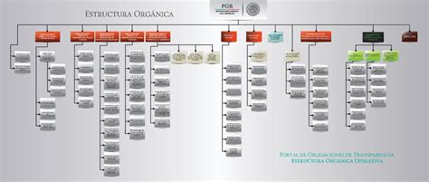 Estructura Organica 1 Coordinación de Asuntos Internacionales y