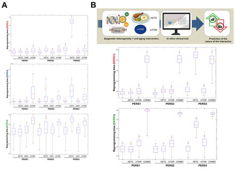 In Silico Clinical Trials For Anti Aging Therapies Figure F Aging