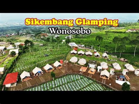 Glamping Di Wonosobo Trekking Di Kebun Teh C M Tr I Indonesia