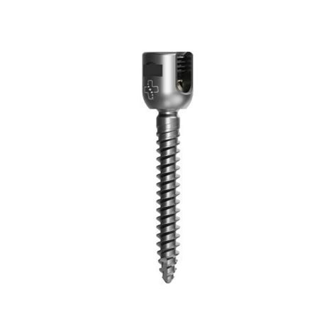 Parafuso Pedicular T Raco Lombar Series S Spine