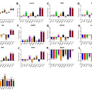 Expression Stability Analysis Of Candidate Reference Genes A GeNorm