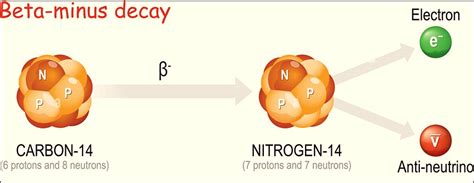 Beta Decay Types Examples And Fermis Theory